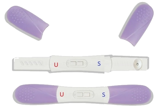 Lateral Flow Test